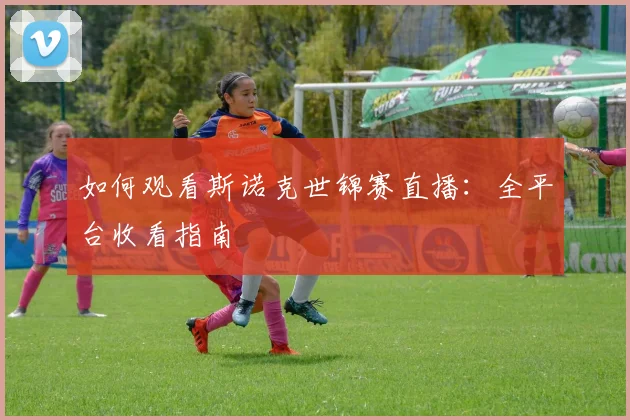 篮球明星转会动态与球队影响分析